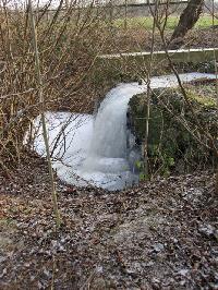 Bild 4835